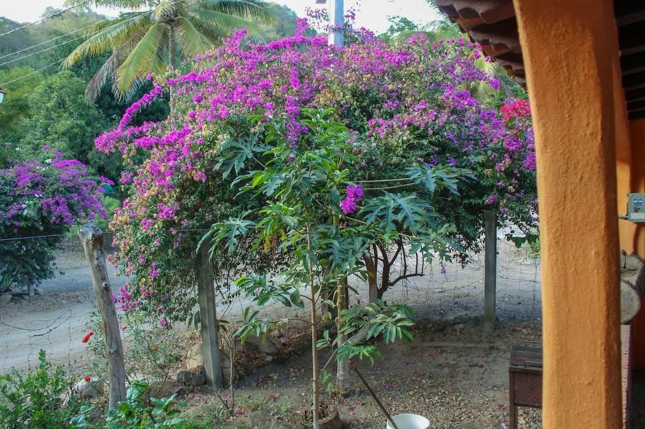 Homestay Casa La Potranca Apartment Puerto Vallarta