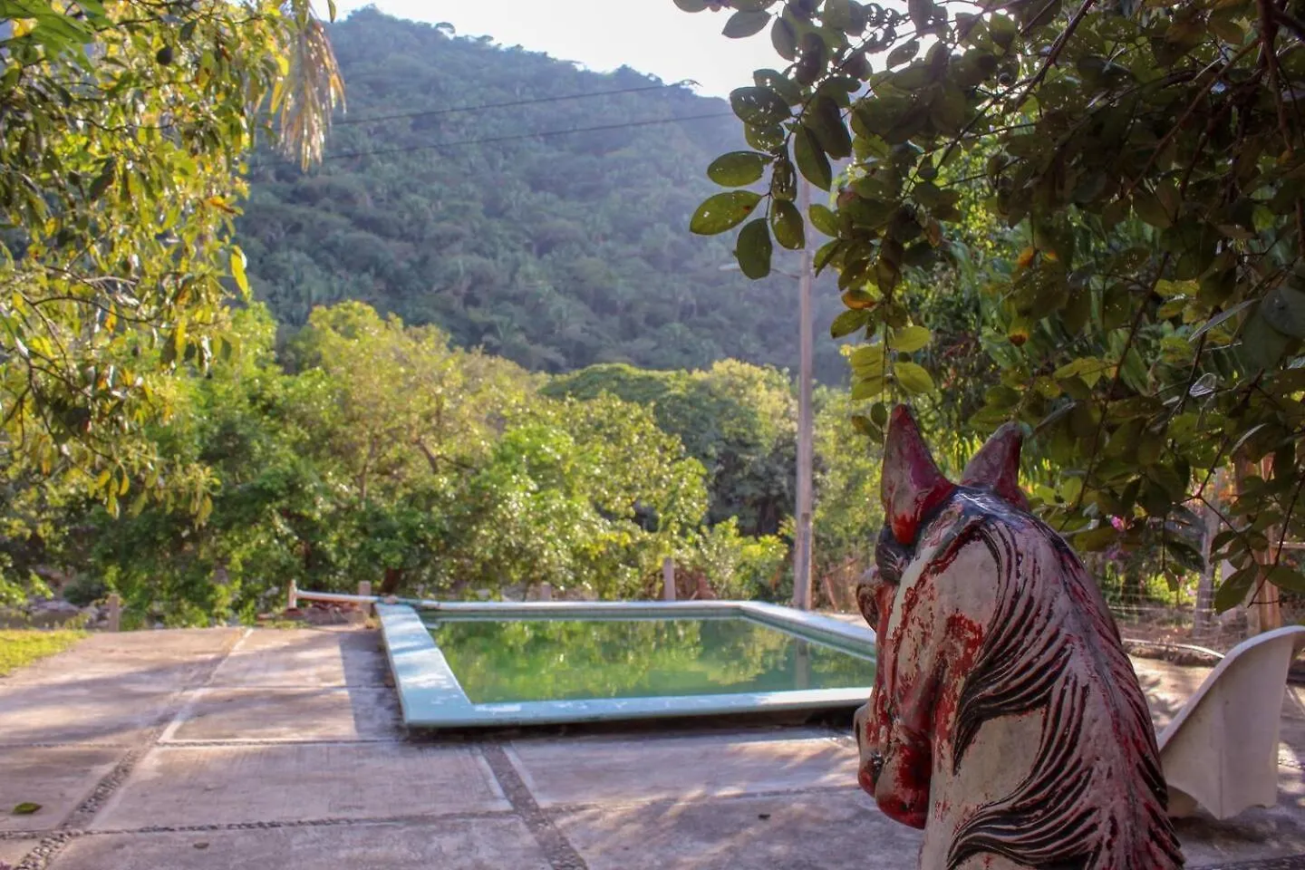 Homestay Casa La Potranca Apartment Puerto Vallarta Mexico