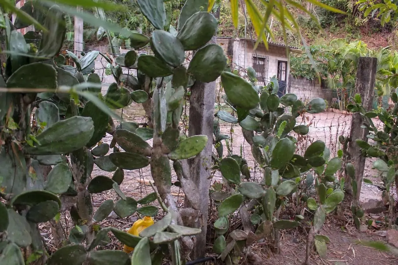 Homestay Casa La Potranca Apartment Puerto Vallarta