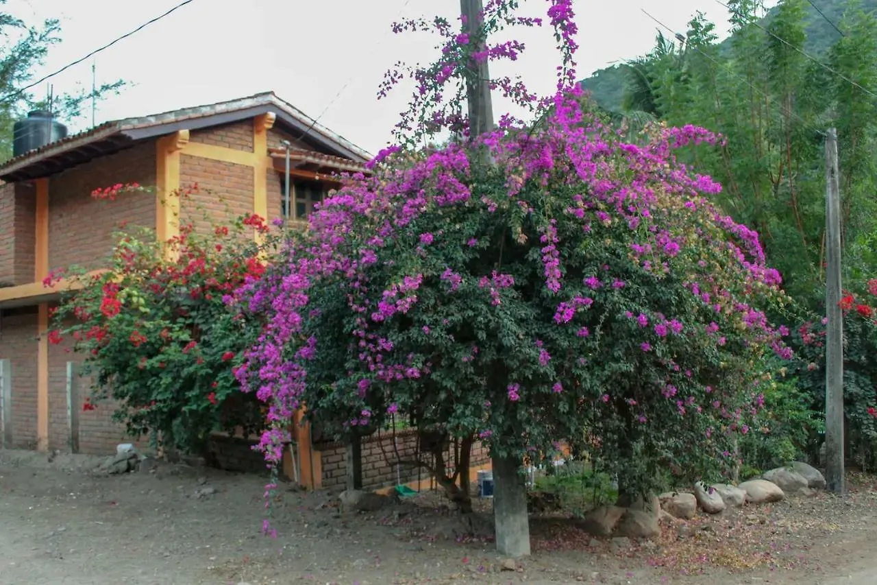 Casa La Potranca Apartment Puerto Vallarta Homestay
